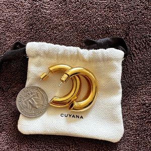 Crescent hoop earrings